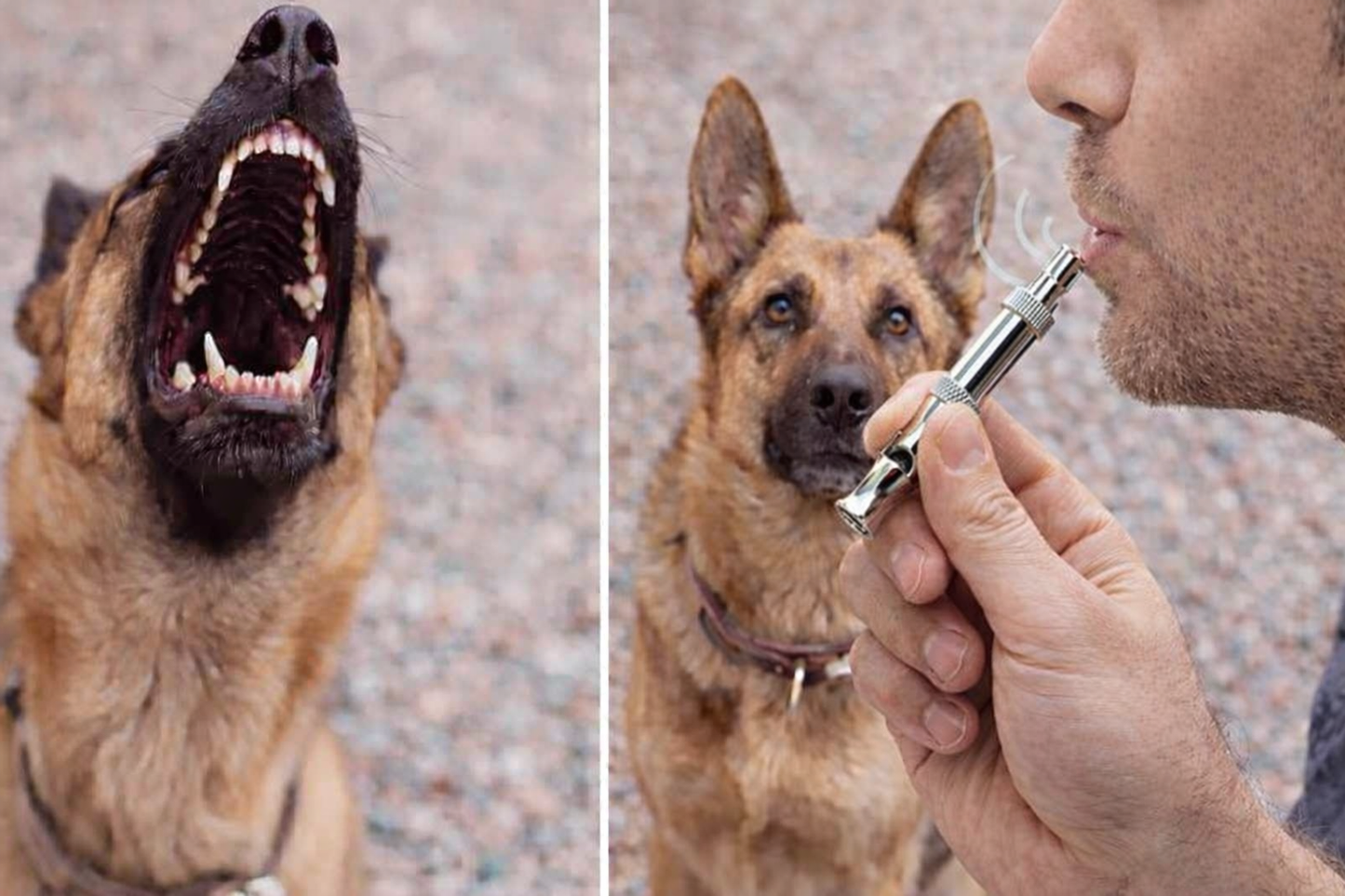 CalmBark | Ultrasonic Training Whistle