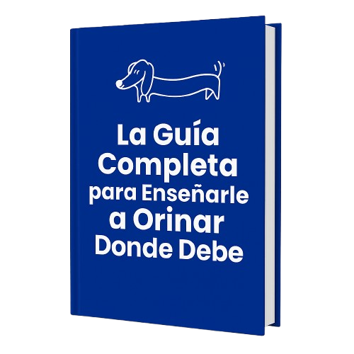 La Guía Completa para Enseñarle a Orinar Donde Debe
