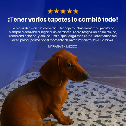 CalmaPad | Sin Olores, Sin Estrés