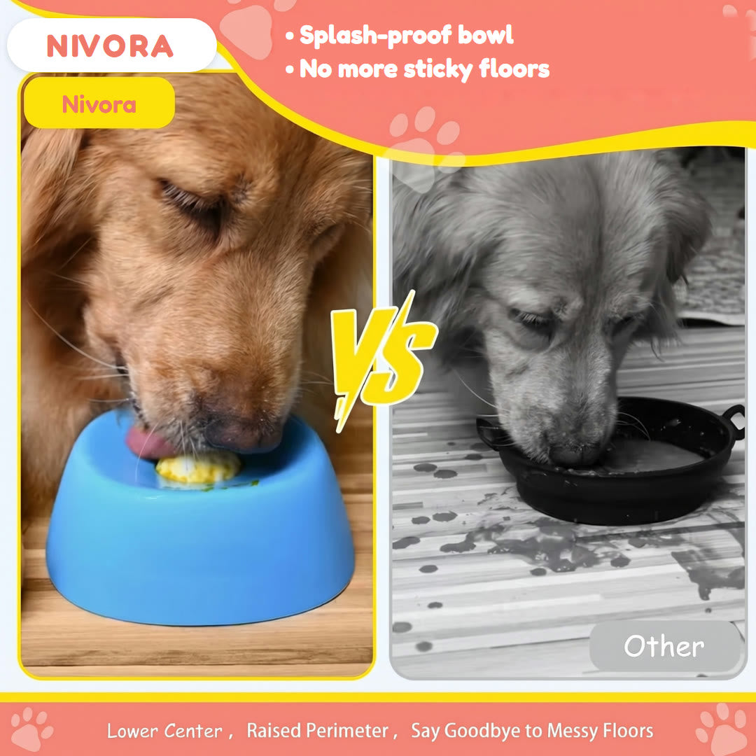Splash-proof lick bowl vs a regular bowl