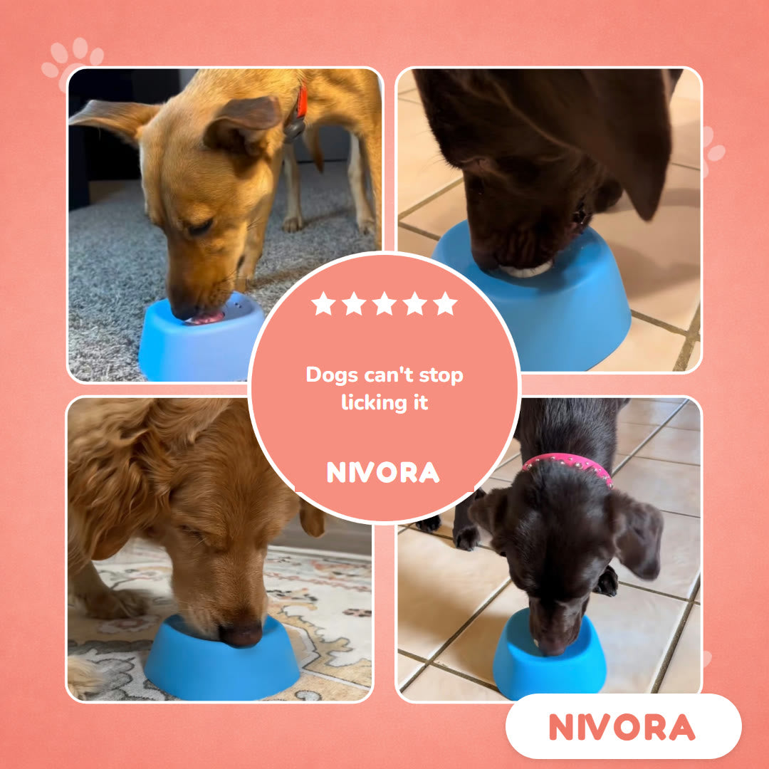 Dogs licking the Nivora lick bowl at home