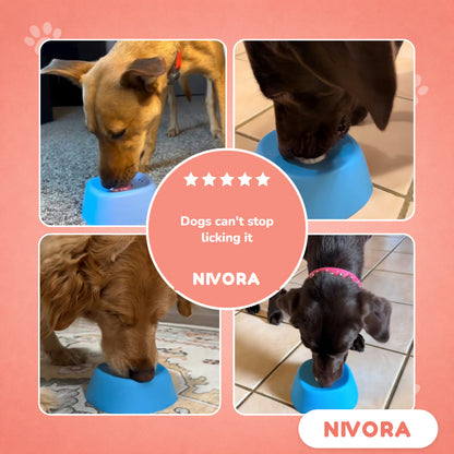 Dogs licking the Nivora lick bowl at home