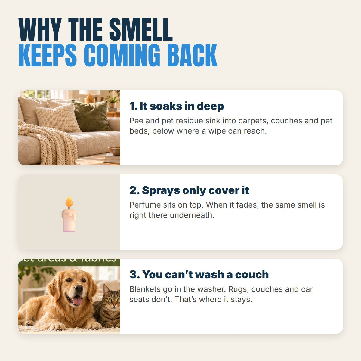 Why the smell keeps coming back