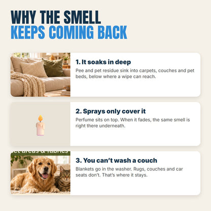 Why the smell keeps coming back